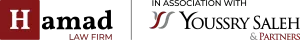 AHYSP logo