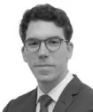 Photo of Mathieu  Raedts