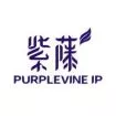 Photo of Purplevine  IP